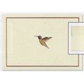 Hummingbird Flight Small Boxed Everyday Note Cards